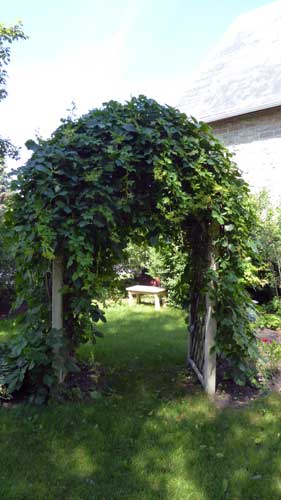 Missing garden bench